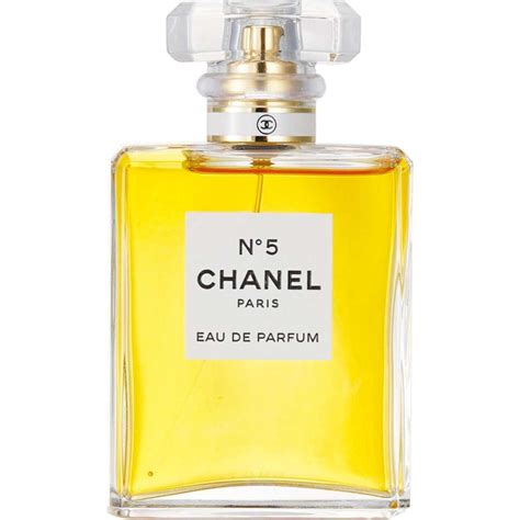 chanel no. 5 from Sears.com